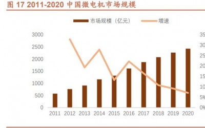 中国产品升级，微电机龙头市场份额有望提升